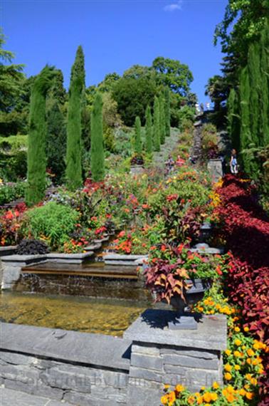 2020 09 03 Insel Mainau,_DSD_7058_b_488px